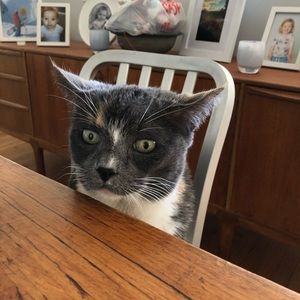 Meet your Posher, Anna